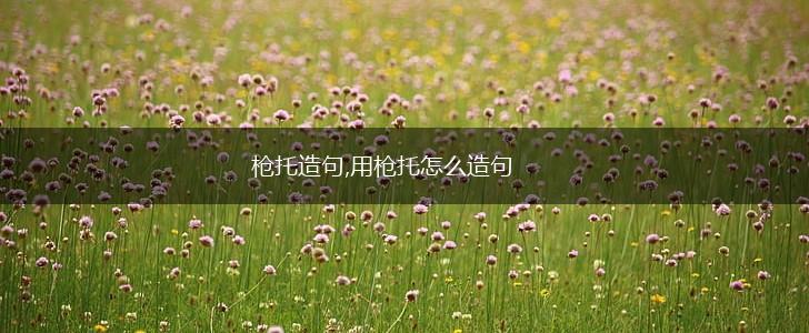 枪托造句,用枪托怎么造句,第1张