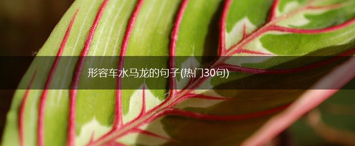 形容车水马龙的句子(热门30句),第1张