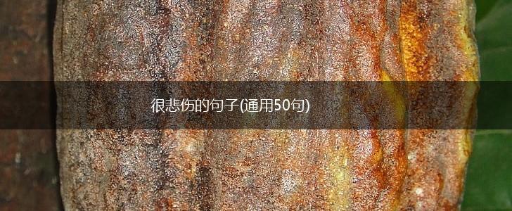 很悲伤的句子(通用50句),第1张