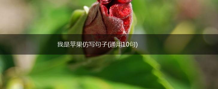 我是苹果仿写句子(通用10句),第1张