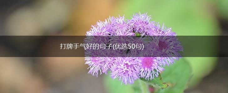 打牌手气好的句子(优选50句),第1张