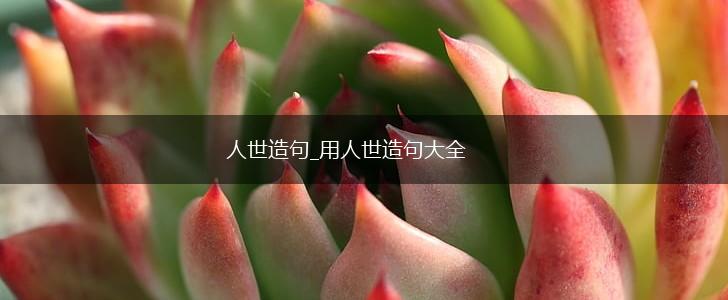人世造句_用人世造句大全,第1张