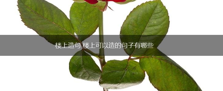 楼上造句 楼上可以造的句子有哪些,第1张 楼上造句 楼上可以造的句子有哪些,第1张