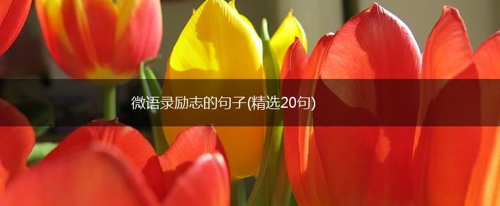 微语录励志的句子(精选20句),第1张