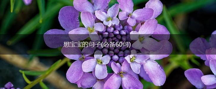 想宝宝的句子(必备60句),第1张