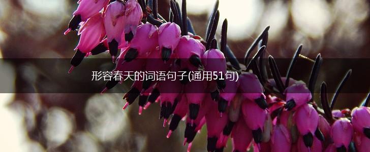 形容春天的词语句子(通用51句),第1张