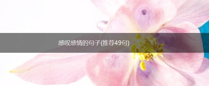 感叹感情的句子(推荐49句),第1张