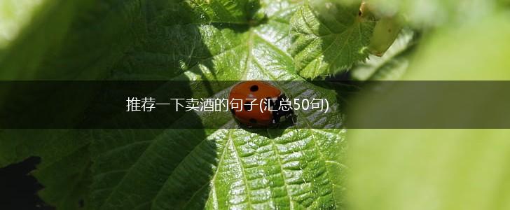 推荐一下卖酒的句子(汇总50句),第1张