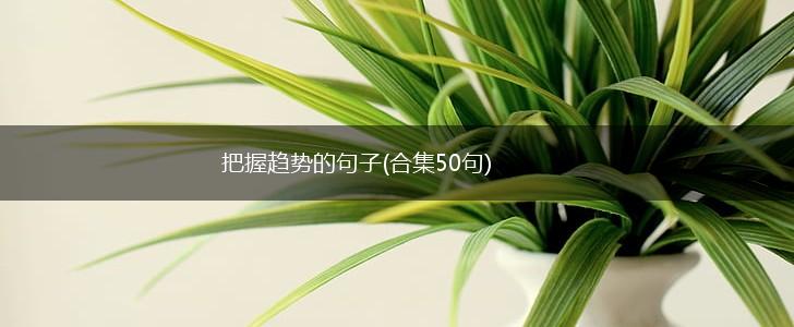 把握趋势的句子(合集50句),第1张