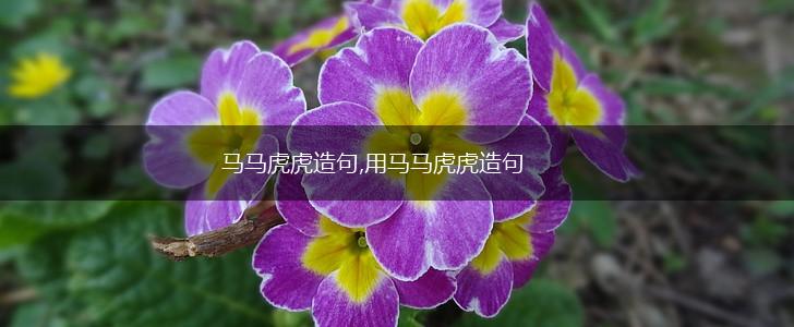 马马虎虎造句,用马马虎虎造句,第1张 马马虎虎造句,用马马虎虎造句,第1张