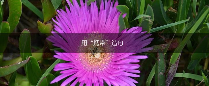 用“携带”造句,第1张