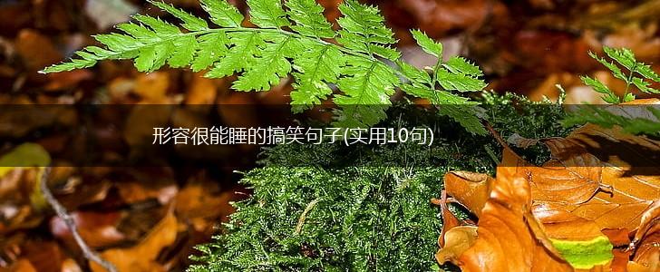 形容很能睡的搞笑句子(实用10句),第1张