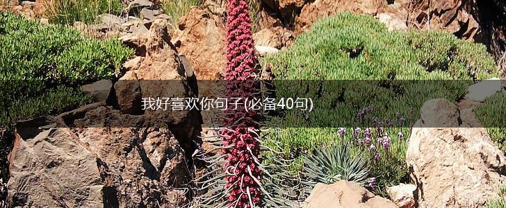 我好喜欢你句子(必备40句),第1张