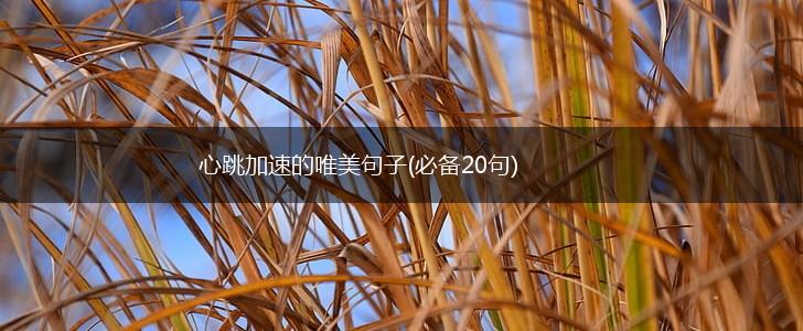 心跳加速的唯美句子(必备20句),第1张
