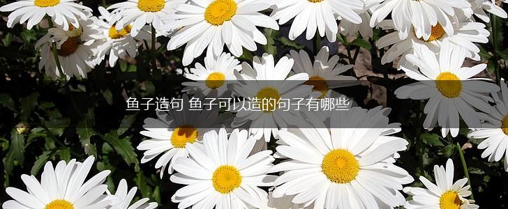 鱼子造句 鱼子可以造的句子有哪些,第1张 鱼子造句 鱼子可以造的句子有哪些,第1张