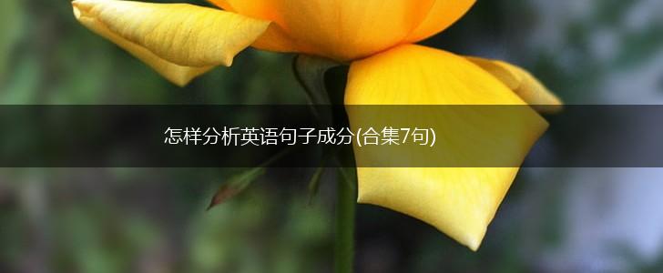 怎样分析英语句子成分(合集7句),第1张