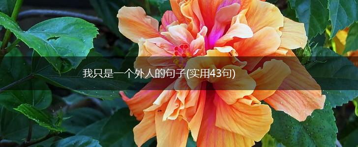 我只是一个外人的句子(实用43句),第1张