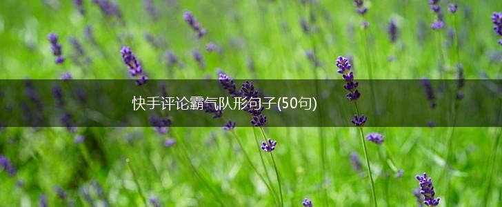 快手评论霸气队形句子(50句),第1张