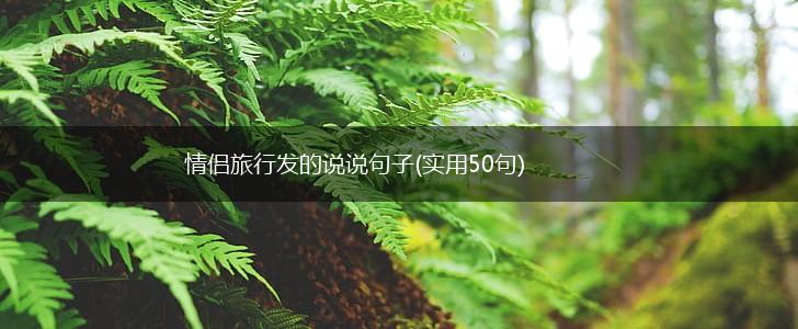 情侣旅行发的说说句子(实用50句),第1张