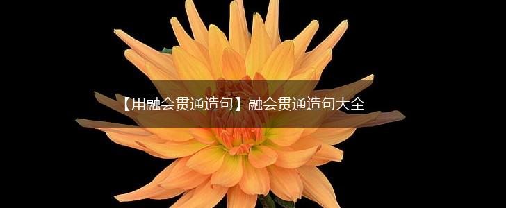 【用融会贯通造句】融会贯通造句大全,第1张