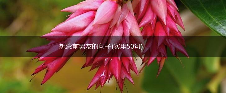 想念前男友的句子(实用50句),第1张