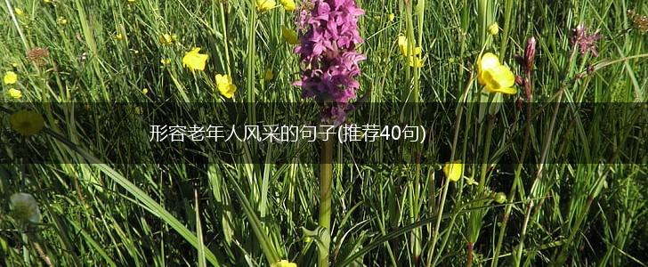 形容老年人风采的句子(推荐40句),第1张