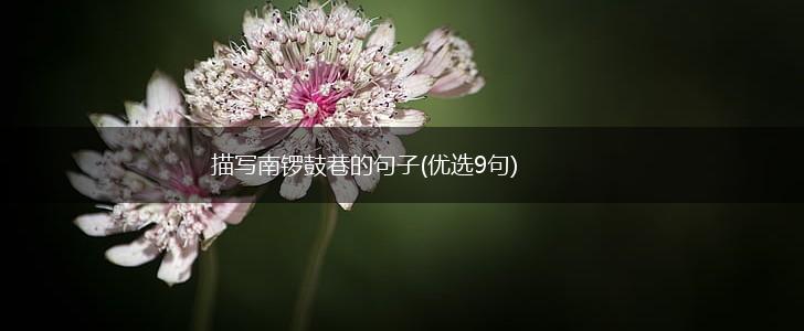 描写南锣鼓巷的句子(优选9句),第1张