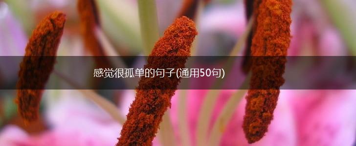 感觉很孤单的句子(通用50句),第1张