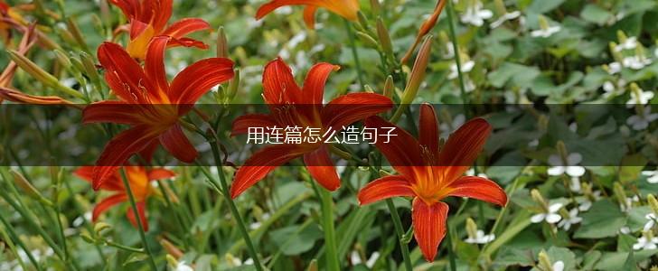 用连篇怎么造句子,第1张 用连篇怎么造句子,第1张
