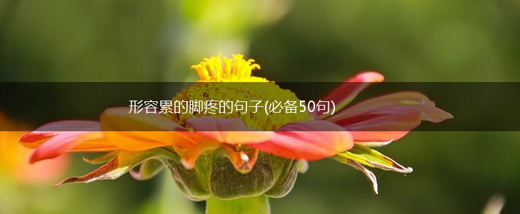 形容累的脚疼的句子(必备50句),第1张