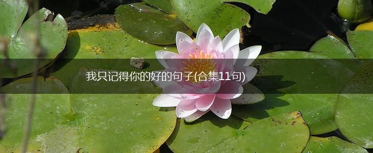 我只记得你的好的句子(合集11句),第1张