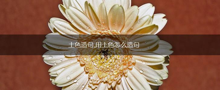 土色造句,用土色怎么造句,第1张 土色造句,用土色怎么造句,第1张