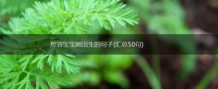 形容宝宝刚出生的句子(汇总50句),第1张