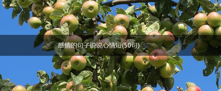 感情的句子说说心情短(50句),第1张