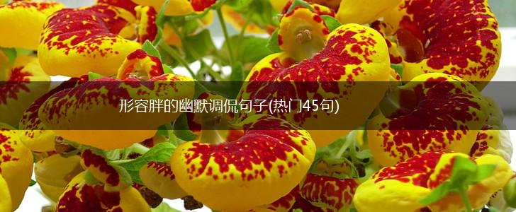 形容胖的幽默调侃句子(热门45句),第1张