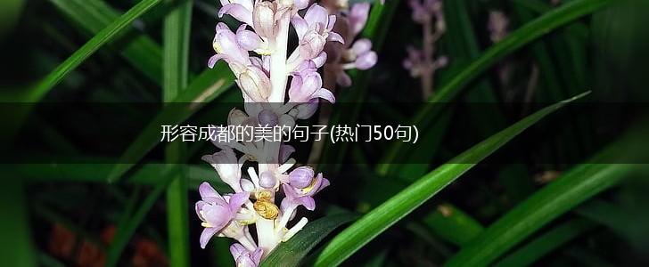 形容成都的美的句子(热门50句),第1张