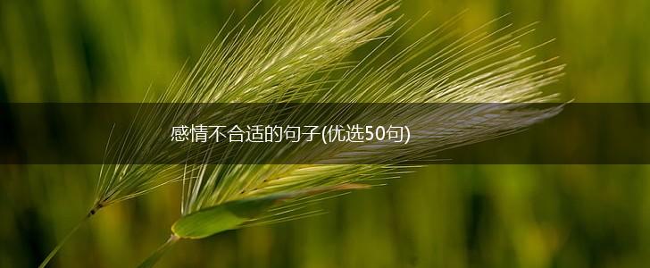 感情不合适的句子(优选50句),第1张