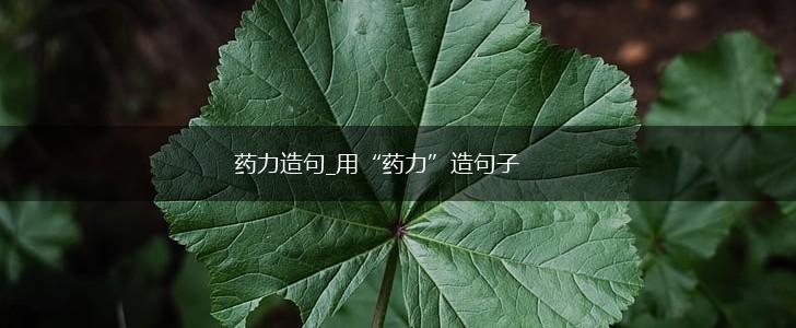 药力造句_用“药力”造句子,第1张 药力造句_用“药力”造句子,第1张