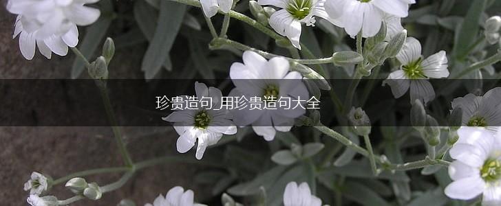 珍贵造句_用珍贵造句大全,第1张 珍贵造句_用珍贵造句大全,第1张