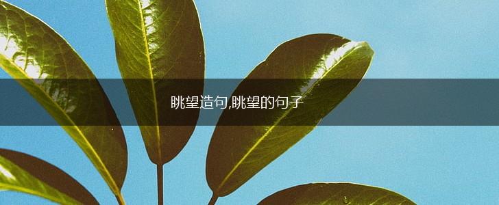 眺望造句,眺望的句子,第1张 眺望造句,眺望的句子,第1张