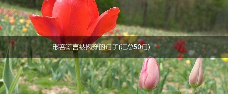 形容谎言被揭穿的句子(汇总50句),第1张
