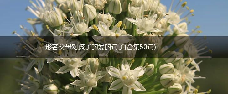 形容父母对孩子的爱的句子(合集50句),第1张