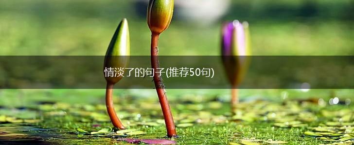 情淡了的句子(推荐50句),第1张