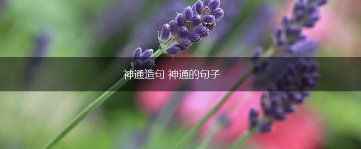 神通造句 神通的句子,第1张 神通造句 神通的句子,第1张