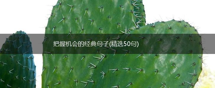 把握机会的经典句子(精选50句),第1张