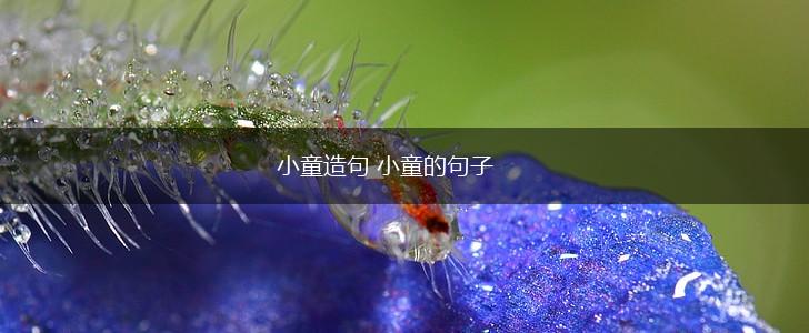 小童造句 小童的句子,第1张 小童造句 小童的句子,第1张