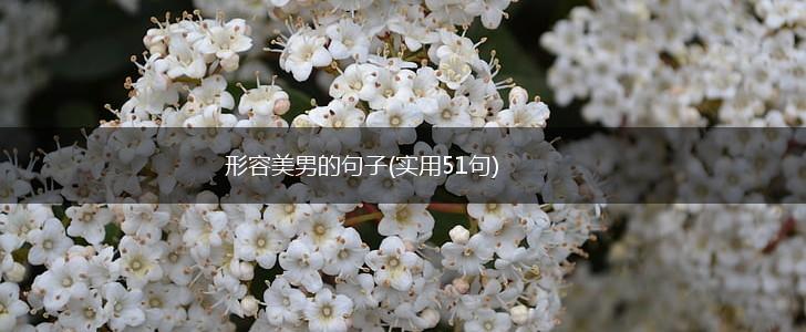 形容美男的句子(实用51句),第1张