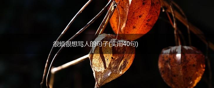 很烦很想骂人的句子(实用40句),第1张