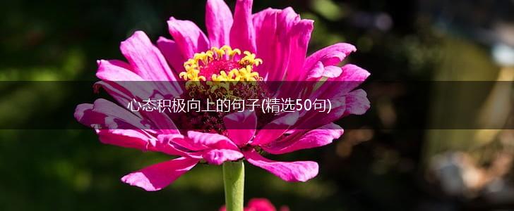 心态积极向上的句子(精选50句),第1张