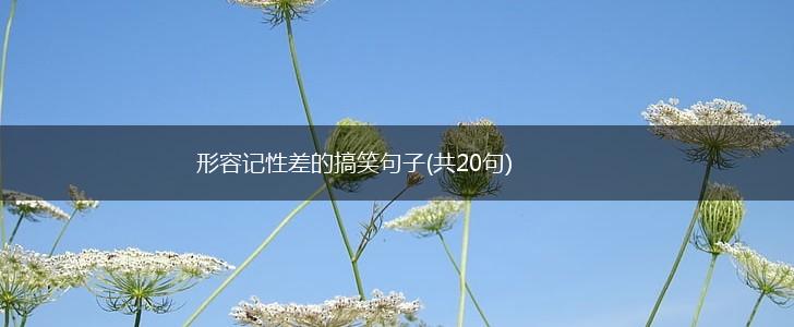 形容记性差的搞笑句子(共20句),第1张